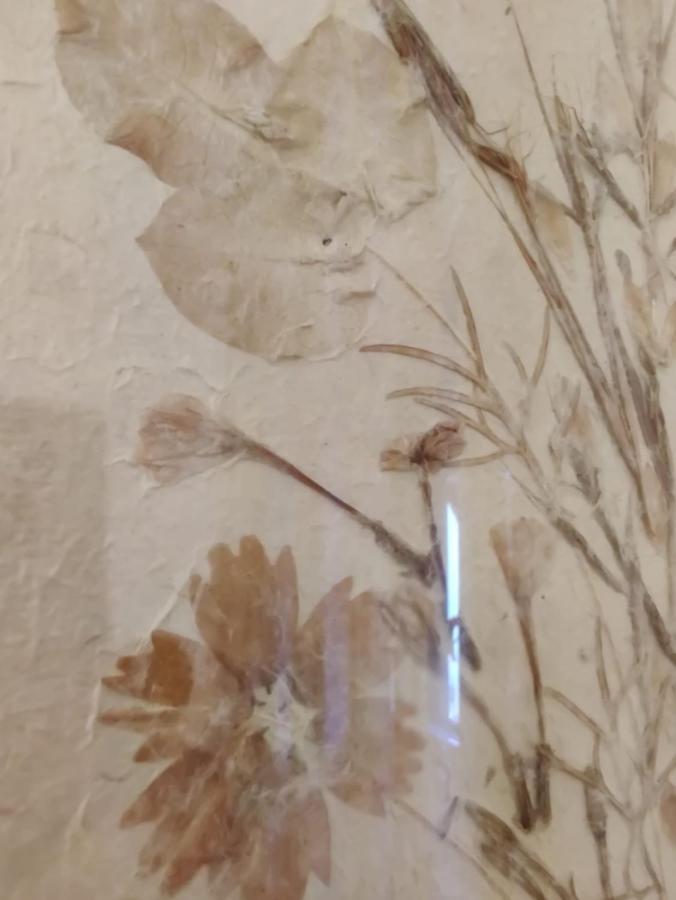 Wow Home - 175 Mq - Posteggio Privato - Davanti Porto Traghetti - Fino A 10 Posti Letto Cenova Dış mekan fotoğraf